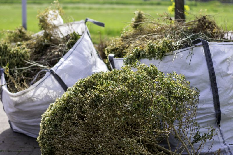 Blackberry Bush Removal in Rockwall, TX