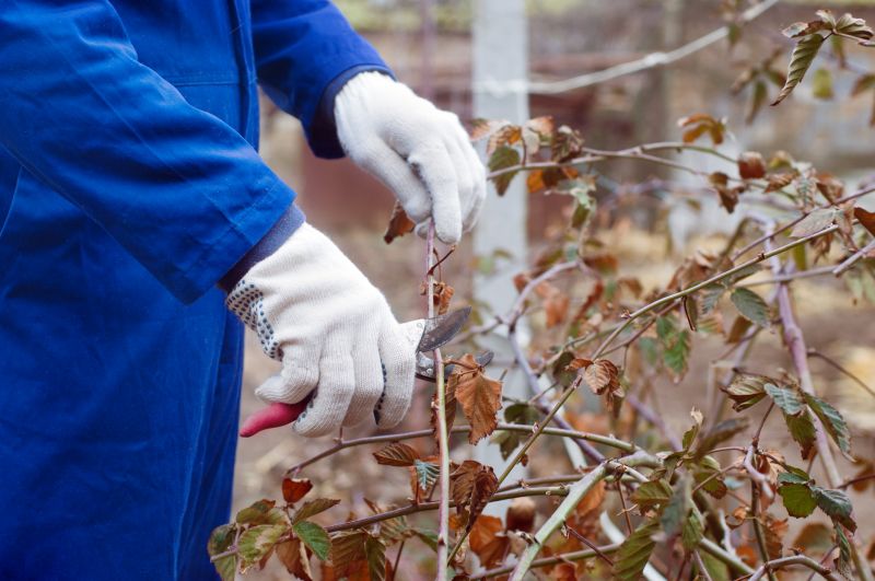Bush Pruning in Aiken, SC