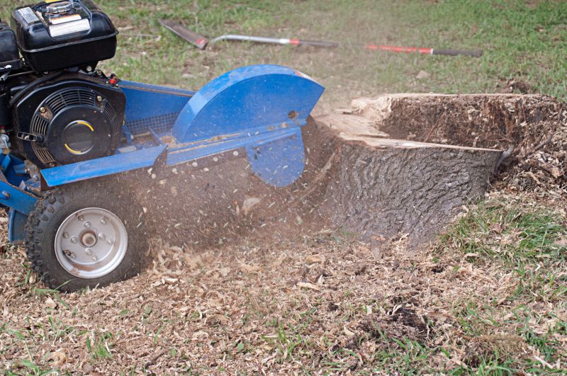 Bush Stump Grinding in Aiken, SC