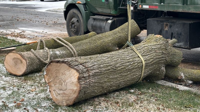 Residential Tree Service in Pottstown, PA