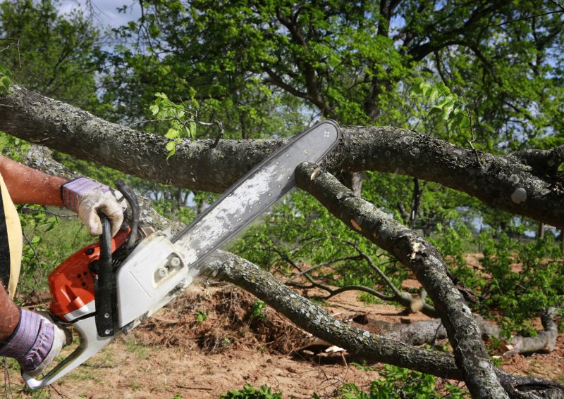 Residential Tree Service in Aiken, SC