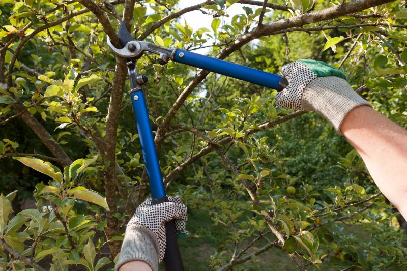 Tree Lopping Service in Pottstown, PA