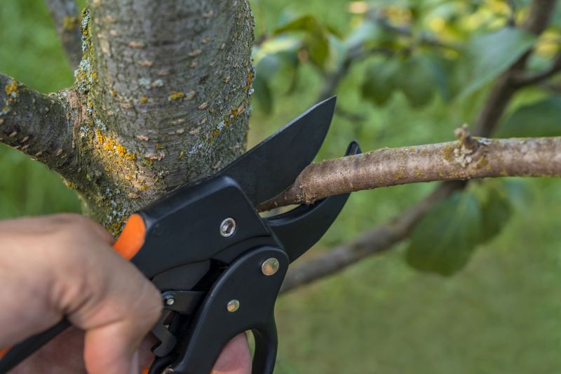 Tree Service Cost Guide — Cost of Tree Service