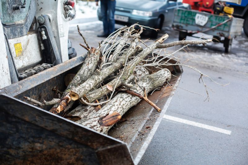 Tree Service Cost Guide — Cost of Tree Service